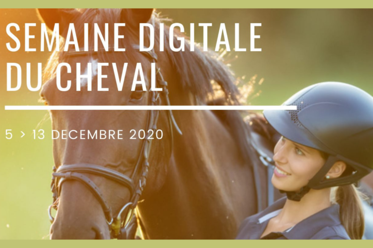 Semaine digitale du cheval