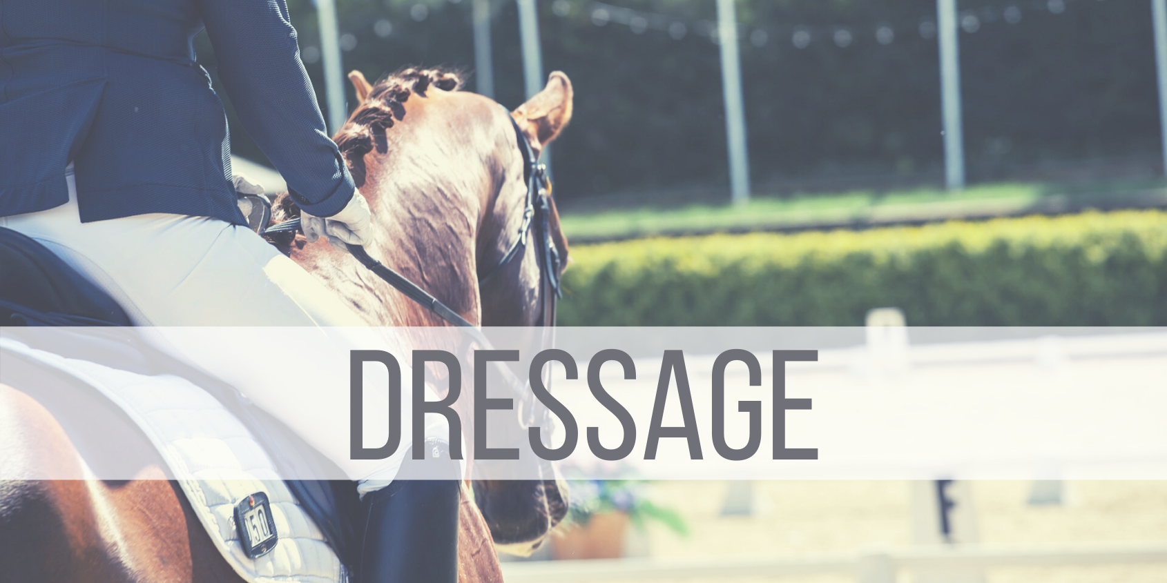 sport – dressage