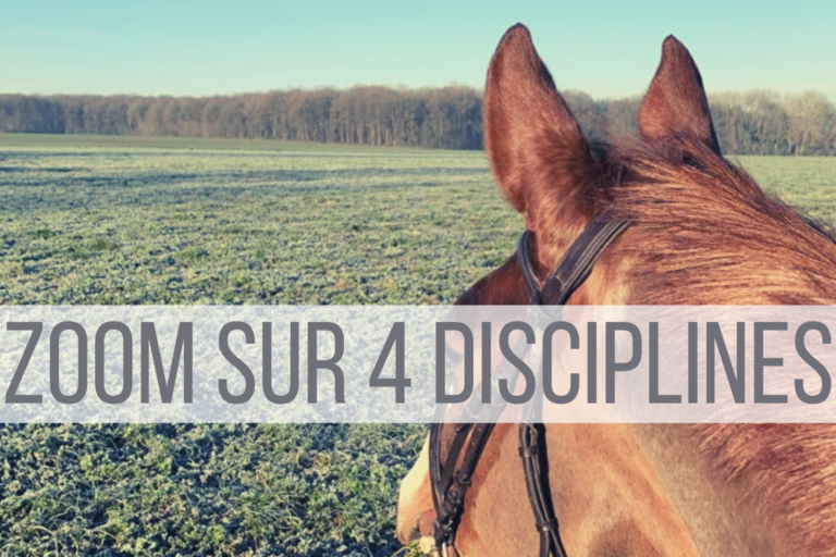 Zoom sur 4 disciplines