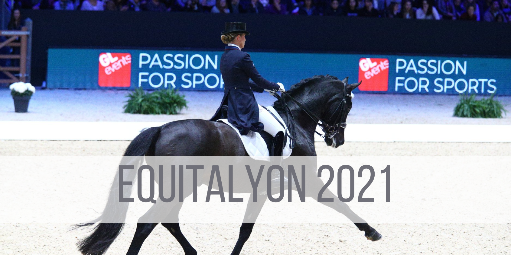 Visuels actu Lab (2) hippolia lab equitalyon