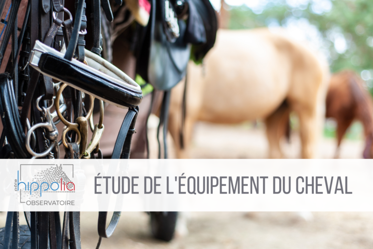 Etude équipement du cheval