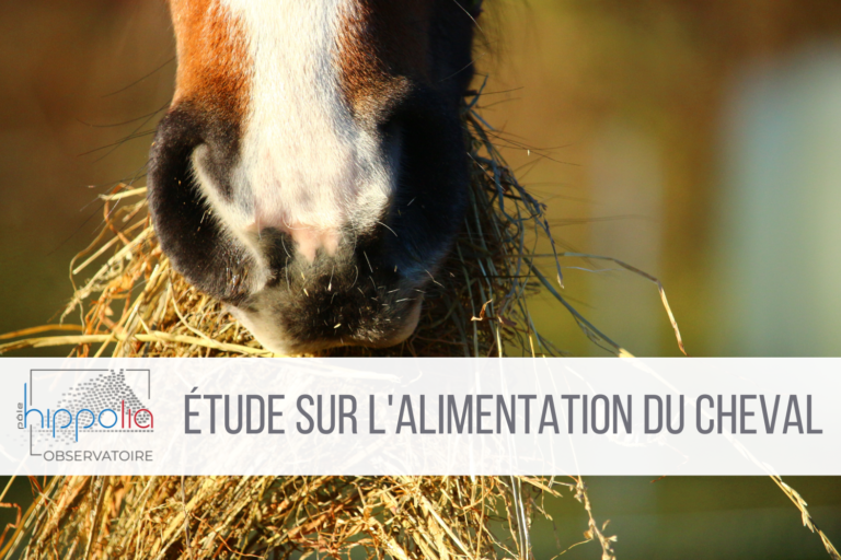Etude alimentation du cheval 2023