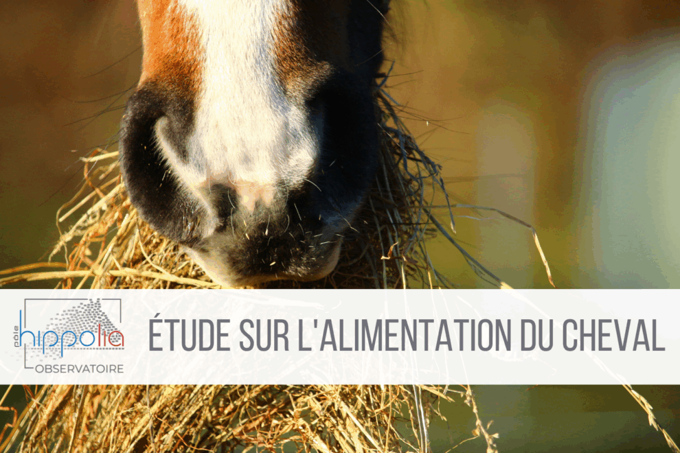 Etude alimentation du cheval 2023
